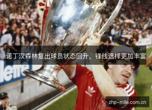 诺丁汉森林复出球员状态回升,锋线选择更加丰富 诺丁汉森林复出球员状态回升,锋线选择更加丰富